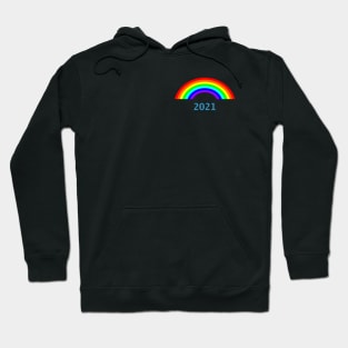 Small 2021 Rainbow Hoodie